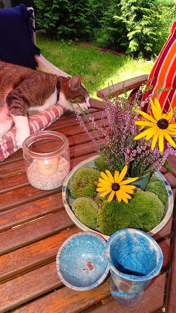 Tiggi auf Tisch